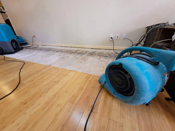 Professional Flood Damage Cleanup technician working in Westfield, NJ